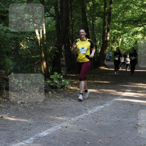 28.09.2025 - 33. Volkslauf durch das schöne Alstertal Strokosch-Dieckow http://msf.ph/oto/8968292 28.09.2025 10:56:03 Laufen 4087 meine-sportfotos.de