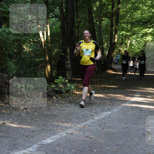 28.09.2025 - 33. Volkslauf durch das schöne Alstertal Strokosch-Dieckow http://msf.ph/oto/8968294 28.09.2025 10:56:03 Laufen 4087 meine-sportfotos.de