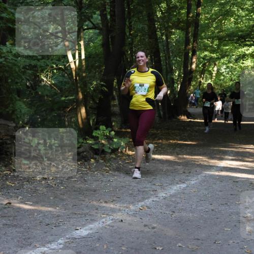 28.09.2025 - 33. Volkslauf durch das schöne Alstertal Strokosch-Dieckow http://msf.ph/oto/8968295 28.09.2025 10:56:03 Laufen 4087 meine-sportfotos.de