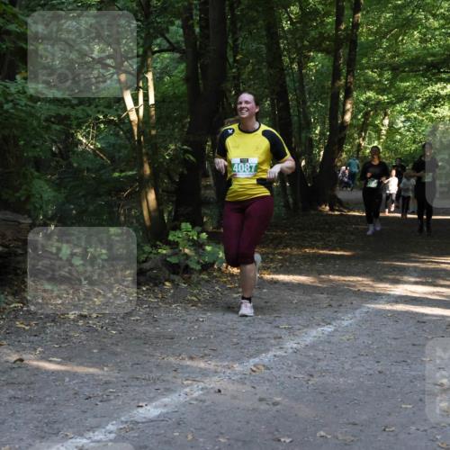 28.09.2025 - 33. Volkslauf durch das schöne Alstertal Strokosch-Dieckow http://msf.ph/oto/8968296 28.09.2025 10:56:03 Laufen 4087 meine-sportfotos.de
