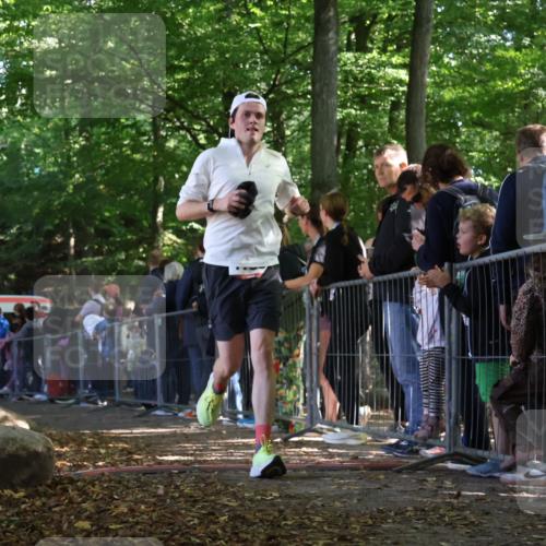 28.09.2025 - 33. Volkslauf durch das schöne Alstertal Strokosch-Dieckow http://msf.ph/oto/8968297 28.09.2025 11:49:02 Ziel 1789 meine-sportfotos.de