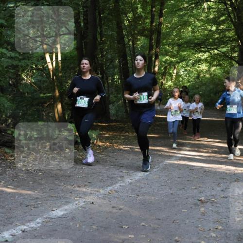28.09.2025 - 33. Volkslauf durch das schöne Alstertal Strokosch-Dieckow http://msf.ph/oto/8968298 28.09.2025 10:56:08 Laufen 4103, 4125, 1920, 4921, 4126 meine-sportfotos.de
