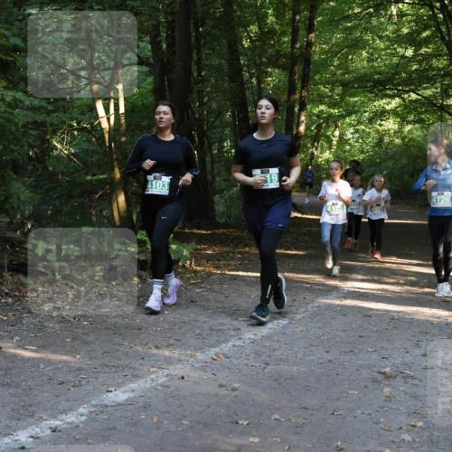 28.09.2025 - 33. Volkslauf durch das schöne Alstertal Strokosch-Dieckow http://msf.ph/oto/8968299 28.09.2025 10:56:08 Laufen 19, 4103, 4126, 920, 4125, 4921 meine-sportfotos.de