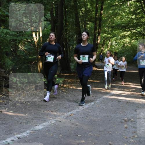 28.09.2025 - 33. Volkslauf durch das schöne Alstertal Strokosch-Dieckow http://msf.ph/oto/8968300 28.09.2025 10:56:08 Laufen 4103, 4119, 4126, 4125, 1920, 4921 meine-sportfotos.de