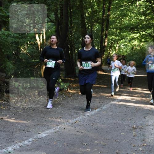 28.09.2025 - 33. Volkslauf durch das schöne Alstertal Strokosch-Dieckow http://msf.ph/oto/8968301 28.09.2025 10:56:08 Laufen 4103, 4119, 4125, 920, 4126 meine-sportfotos.de