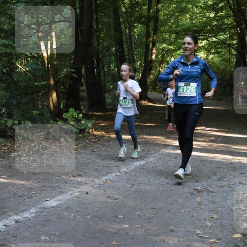 28.09.2025 - 33. Volkslauf durch das schöne Alstertal Strokosch-Dieckow http://msf.ph/oto/8968302 28.09.2025 10:56:09 Laufen 116, 4125, 4126 meine-sportfotos.de