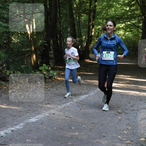 28.09.2025 - 33. Volkslauf durch das schöne Alstertal Strokosch-Dieckow http://msf.ph/oto/8968304 28.09.2025 10:56:09 Laufen 4125, 4126 meine-sportfotos.de