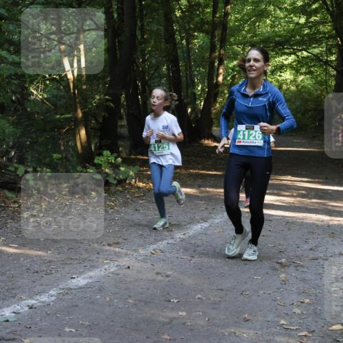 28.09.2025 - 33. Volkslauf durch das schöne Alstertal Strokosch-Dieckow http://msf.ph/oto/8968305 28.09.2025 10:56:09 Laufen 4125, 4126 meine-sportfotos.de