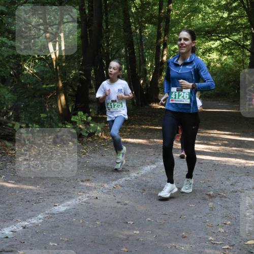 28.09.2025 - 33. Volkslauf durch das schöne Alstertal Strokosch-Dieckow http://msf.ph/oto/8968306 28.09.2025 10:56:09 Laufen 4125, 4126 meine-sportfotos.de