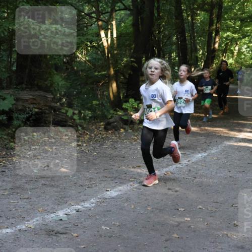 28.09.2025 - 33. Volkslauf durch das schöne Alstertal Strokosch-Dieckow http://msf.ph/oto/8968308 28.09.2025 10:56:11 Laufen 127 meine-sportfotos.de