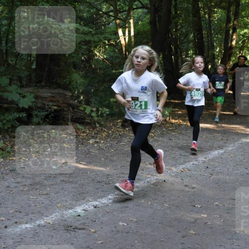 28.09.2025 - 33. Volkslauf durch das schöne Alstertal Strokosch-Dieckow http://msf.ph/oto/8968312 28.09.2025 10:56:11 Laufen 4920, 921, 4127 meine-sportfotos.de