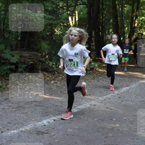 28.09.2025 - 33. Volkslauf durch das schöne Alstertal Strokosch-Dieckow http://msf.ph/oto/8968313 28.09.2025 10:56:11 Laufen 4920, 4921 meine-sportfotos.de