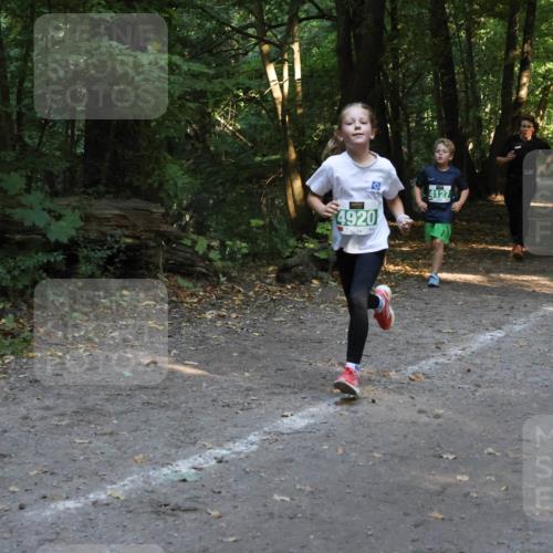28.09.2025 - 33. Volkslauf durch das schöne Alstertal Strokosch-Dieckow http://msf.ph/oto/8968314 28.09.2025 10:56:11 Laufen 4920, 4127 meine-sportfotos.de