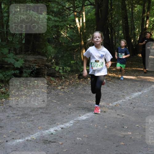 28.09.2025 - 33. Volkslauf durch das schöne Alstertal Strokosch-Dieckow http://msf.ph/oto/8968315 28.09.2025 10:56:11 Laufen 4920, 4122 meine-sportfotos.de