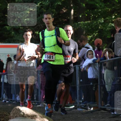 28.09.2025 - 33. Volkslauf durch das schöne Alstertal Strokosch-Dieckow http://msf.ph/oto/8968317 28.09.2025 11:49:17 Ziel 1567, 1581, 2608 meine-sportfotos.de