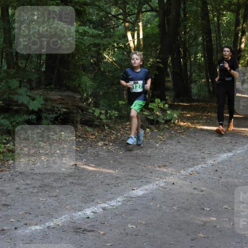 28.09.2025 - 33. Volkslauf durch das schöne Alstertal Strokosch-Dieckow http://msf.ph/oto/8968318 28.09.2025 10:56:13 Laufen 127 meine-sportfotos.de