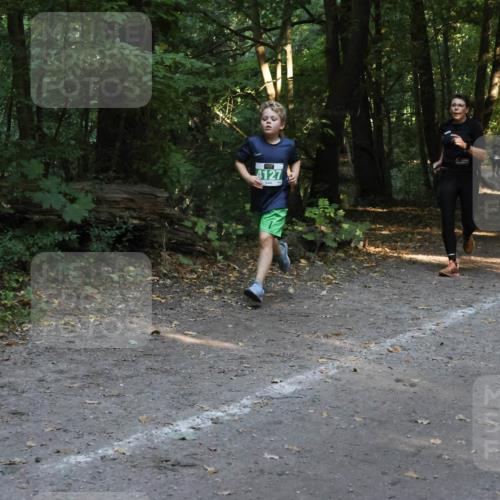 28.09.2025 - 33. Volkslauf durch das schöne Alstertal Strokosch-Dieckow http://msf.ph/oto/8968319 28.09.2025 10:56:13 Laufen 4127 meine-sportfotos.de