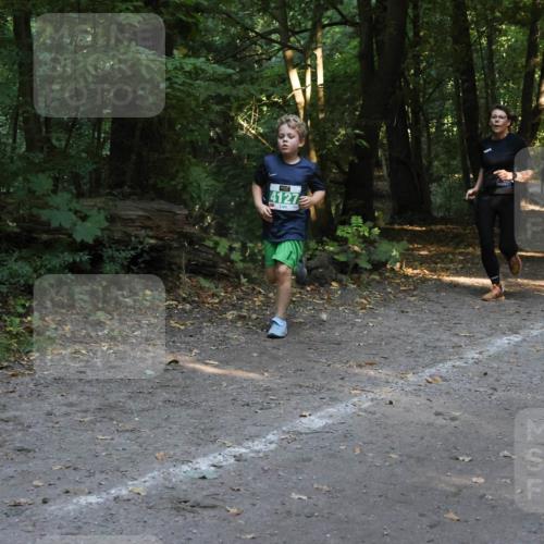 28.09.2025 - 33. Volkslauf durch das schöne Alstertal Strokosch-Dieckow http://msf.ph/oto/8968320 28.09.2025 10:56:13 Laufen 4127 meine-sportfotos.de