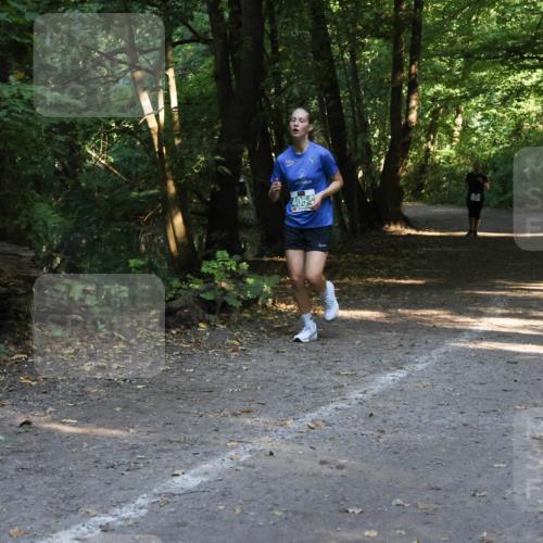 28.09.2025 - 33. Volkslauf durch das schöne Alstertal Strokosch-Dieckow http://msf.ph/oto/8968325 28.09.2025 10:56:19 Laufen 405 meine-sportfotos.de