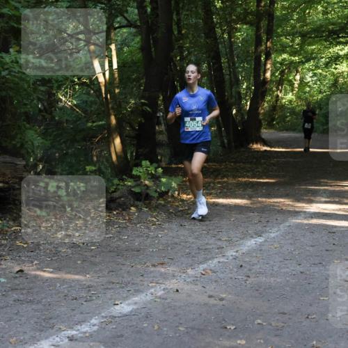 28.09.2025 - 33. Volkslauf durch das schöne Alstertal Strokosch-Dieckow http://msf.ph/oto/8968326 28.09.2025 10:56:20 Laufen 4054 meine-sportfotos.de