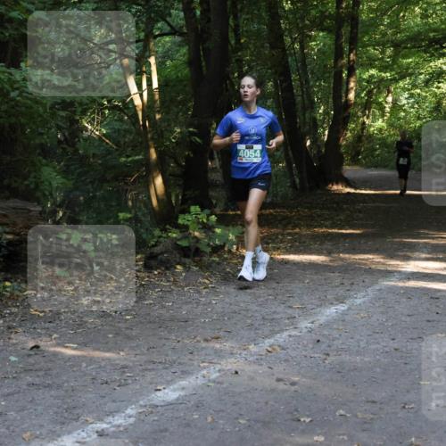 28.09.2025 - 33. Volkslauf durch das schöne Alstertal Strokosch-Dieckow http://msf.ph/oto/8968327 28.09.2025 10:56:20 Laufen 4054 meine-sportfotos.de