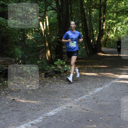28.09.2025 - 33. Volkslauf durch das schöne Alstertal Strokosch-Dieckow http://msf.ph/oto/8968329 28.09.2025 10:56:20 Laufen 4054 meine-sportfotos.de