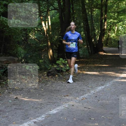 28.09.2025 - 33. Volkslauf durch das schöne Alstertal Strokosch-Dieckow http://msf.ph/oto/8968330 28.09.2025 10:56:20 Laufen 054 meine-sportfotos.de