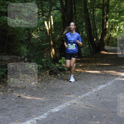 28.09.2025 - 33. Volkslauf durch das schöne Alstertal Strokosch-Dieckow http://msf.ph/oto/8968331 28.09.2025 10:56:20 Laufen 4054 meine-sportfotos.de