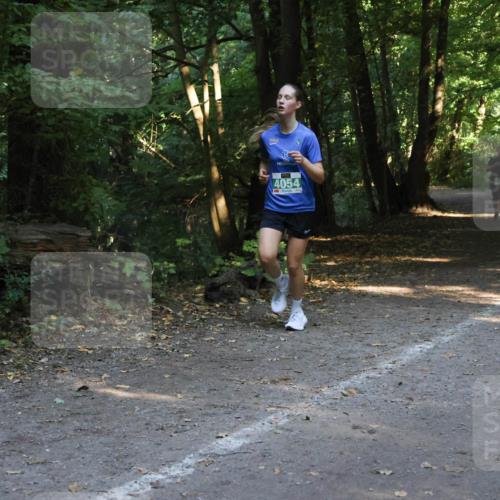 28.09.2025 - 33. Volkslauf durch das schöne Alstertal Strokosch-Dieckow http://msf.ph/oto/8968332 28.09.2025 10:56:20 Laufen 4054 meine-sportfotos.de