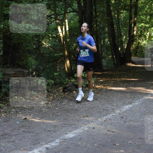 28.09.2025 - 33. Volkslauf durch das schöne Alstertal Strokosch-Dieckow http://msf.ph/oto/8968333 28.09.2025 10:56:20 Laufen 4054 meine-sportfotos.de