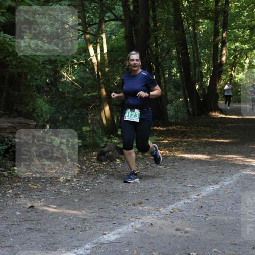 28.09.2025 - 33. Volkslauf durch das schöne Alstertal Strokosch-Dieckow http://msf.ph/oto/8968334 28.09.2025 10:56:27 Laufen 4123 meine-sportfotos.de