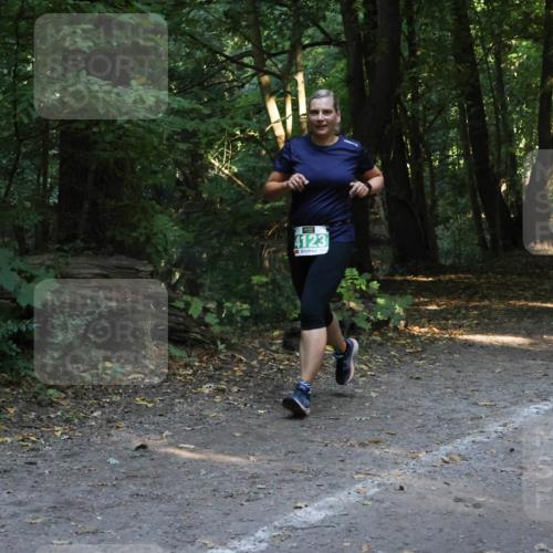 28.09.2025 - 33. Volkslauf durch das schöne Alstertal Strokosch-Dieckow http://msf.ph/oto/8968339 28.09.2025 10:56:27 Laufen 4123 meine-sportfotos.de