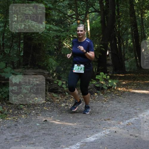 28.09.2025 - 33. Volkslauf durch das schöne Alstertal Strokosch-Dieckow http://msf.ph/oto/8968342 28.09.2025 10:56:27 Laufen 4123 meine-sportfotos.de