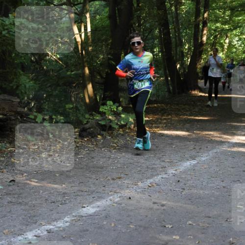 28.09.2025 - 33. Volkslauf durch das schöne Alstertal Strokosch-Dieckow http://msf.ph/oto/8968344 28.09.2025 10:56:36 Laufen 4919 meine-sportfotos.de