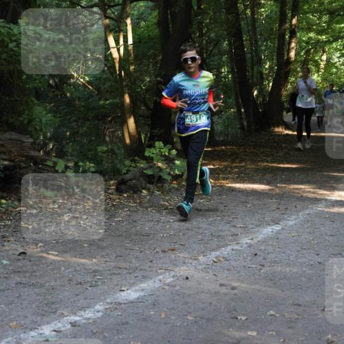 28.09.2025 - 33. Volkslauf durch das schöne Alstertal Strokosch-Dieckow http://msf.ph/oto/8968345 28.09.2025 10:56:36 Laufen 4919 meine-sportfotos.de