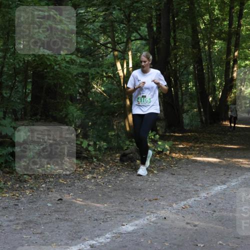 28.09.2025 - 33. Volkslauf durch das schöne Alstertal Strokosch-Dieckow http://msf.ph/oto/8968351 28.09.2025 10:56:41 Laufen 4105 meine-sportfotos.de