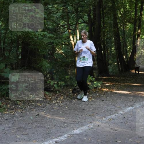 28.09.2025 - 33. Volkslauf durch das schöne Alstertal Strokosch-Dieckow http://msf.ph/oto/8968352 28.09.2025 10:56:41 Laufen 4105 meine-sportfotos.de