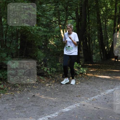 28.09.2025 - 33. Volkslauf durch das schöne Alstertal Strokosch-Dieckow http://msf.ph/oto/8968353 28.09.2025 10:56:41 Laufen 4105 meine-sportfotos.de