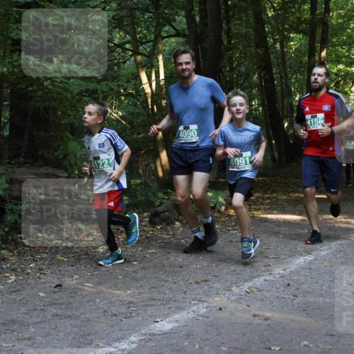 28.09.2025 - 33. Volkslauf durch das schöne Alstertal Strokosch-Dieckow http://msf.ph/oto/8968363 28.09.2025 10:56:47 Laufen 4122, 4090, 4091, 4156, 4052 meine-sportfotos.de