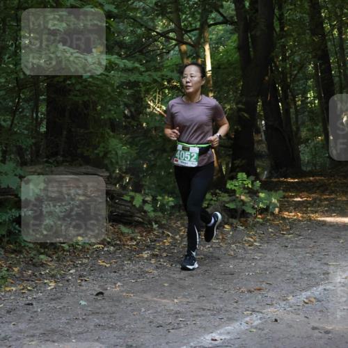 28.09.2025 - 33. Volkslauf durch das schöne Alstertal Strokosch-Dieckow http://msf.ph/oto/8968365 28.09.2025 10:56:51 Laufen 4052 meine-sportfotos.de