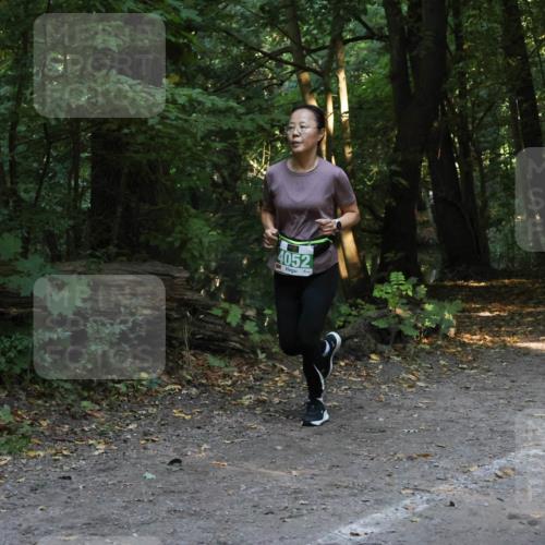 28.09.2025 - 33. Volkslauf durch das schöne Alstertal Strokosch-Dieckow http://msf.ph/oto/8968366 28.09.2025 10:56:51 Laufen 4052, 4169 meine-sportfotos.de
