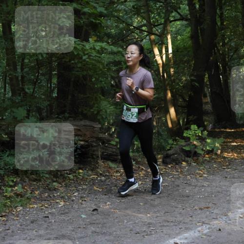 28.09.2025 - 33. Volkslauf durch das schöne Alstertal Strokosch-Dieckow http://msf.ph/oto/8968368 28.09.2025 10:56:52 Laufen 4052 meine-sportfotos.de