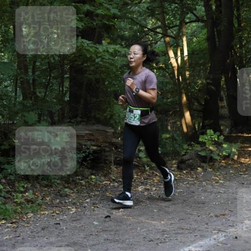 28.09.2025 - 33. Volkslauf durch das schöne Alstertal Strokosch-Dieckow http://msf.ph/oto/8968369 28.09.2025 10:56:52 Laufen 4052 meine-sportfotos.de