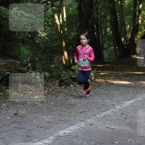 28.09.2025 - 33. Volkslauf durch das schöne Alstertal Strokosch-Dieckow http://msf.ph/oto/8968370 28.09.2025 10:56:55 Laufen 4169, 4176 meine-sportfotos.de