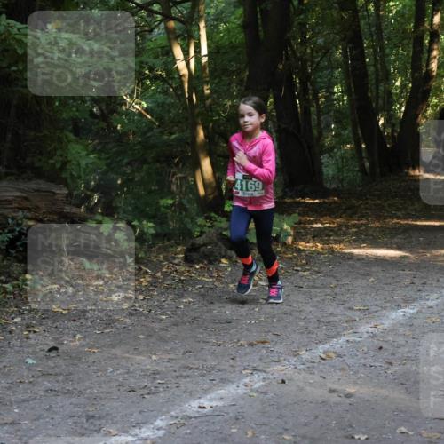 28.09.2025 - 33. Volkslauf durch das schöne Alstertal Strokosch-Dieckow http://msf.ph/oto/8968371 28.09.2025 10:56:55 Laufen 4169, 4176 meine-sportfotos.de
