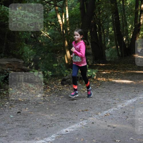 28.09.2025 - 33. Volkslauf durch das schöne Alstertal Strokosch-Dieckow http://msf.ph/oto/8968372 28.09.2025 10:56:55 Laufen 4169, 4176 meine-sportfotos.de