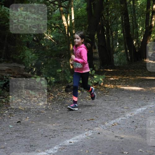 28.09.2025 - 33. Volkslauf durch das schöne Alstertal Strokosch-Dieckow http://msf.ph/oto/8968373 28.09.2025 10:56:55 Laufen 4105, 4176 meine-sportfotos.de