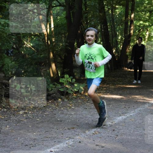 28.09.2025 - 33. Volkslauf durch das schöne Alstertal Strokosch-Dieckow http://msf.ph/oto/8968375 28.09.2025 10:56:57 Laufen 4176 meine-sportfotos.de