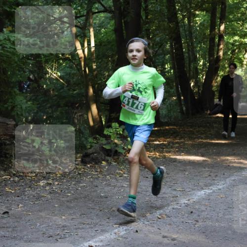 28.09.2025 - 33. Volkslauf durch das schöne Alstertal Strokosch-Dieckow http://msf.ph/oto/8968377 28.09.2025 10:56:57 Laufen 4176 meine-sportfotos.de
