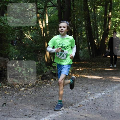 28.09.2025 - 33. Volkslauf durch das schöne Alstertal Strokosch-Dieckow http://msf.ph/oto/8968378 28.09.2025 10:56:57 Laufen 176 meine-sportfotos.de